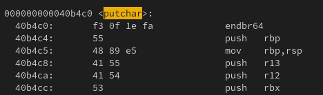 endbr instruction at the start of putchar